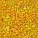 Textures 556